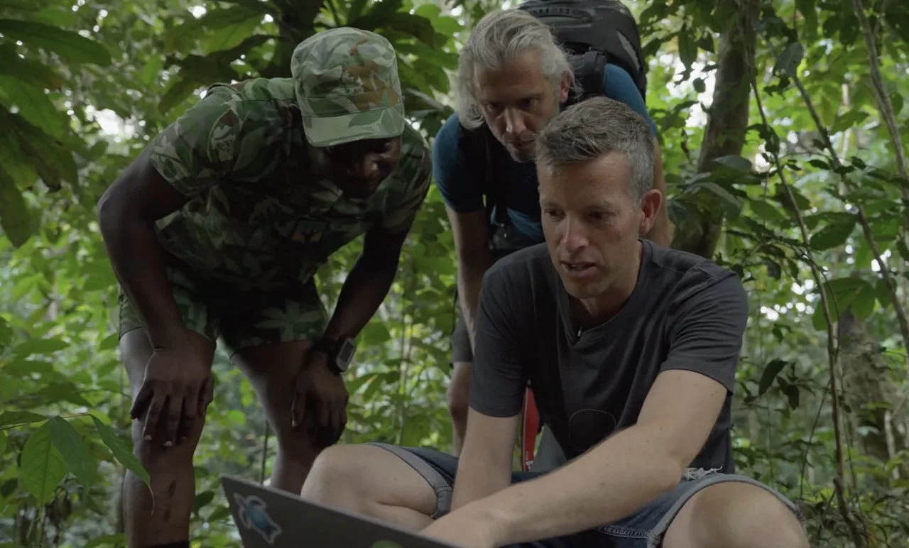 Real-time rainforest biodiversity monitoring
